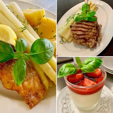 Otel Boutique Goldene Henne Wolfsburg