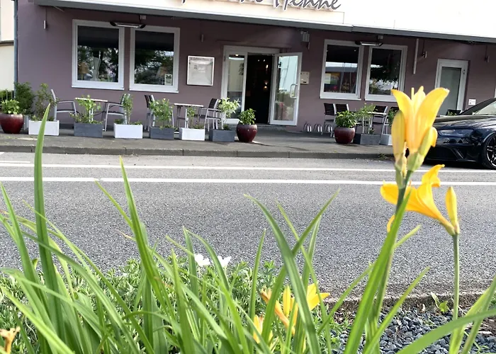 Boutique Goldene Henne Hotel Wolfsburg